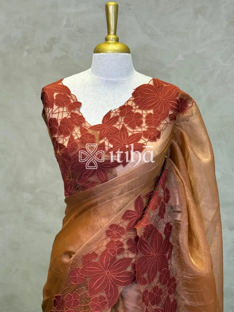 PURE SILK TISSUE ORGANZA APPLIQUE EMBROIDERY SAREE