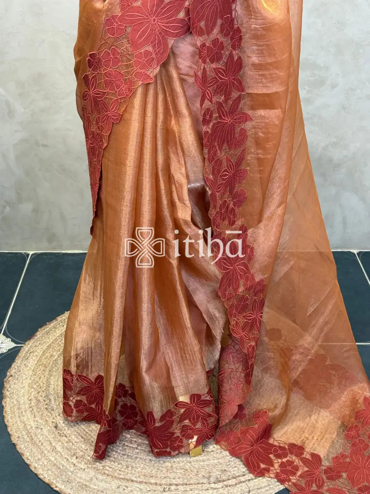 PURE SILK TISSUE ORGANZA APPLIQUE EMBROIDERY SAREE