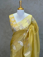 PURE SILK TISSUE ORGANZA HAND EMBROIDERY SAREE
