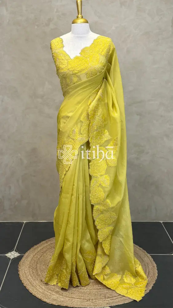 PURE SILK TISSUE ORGANZA HAND EMBROIDERY SAREE
