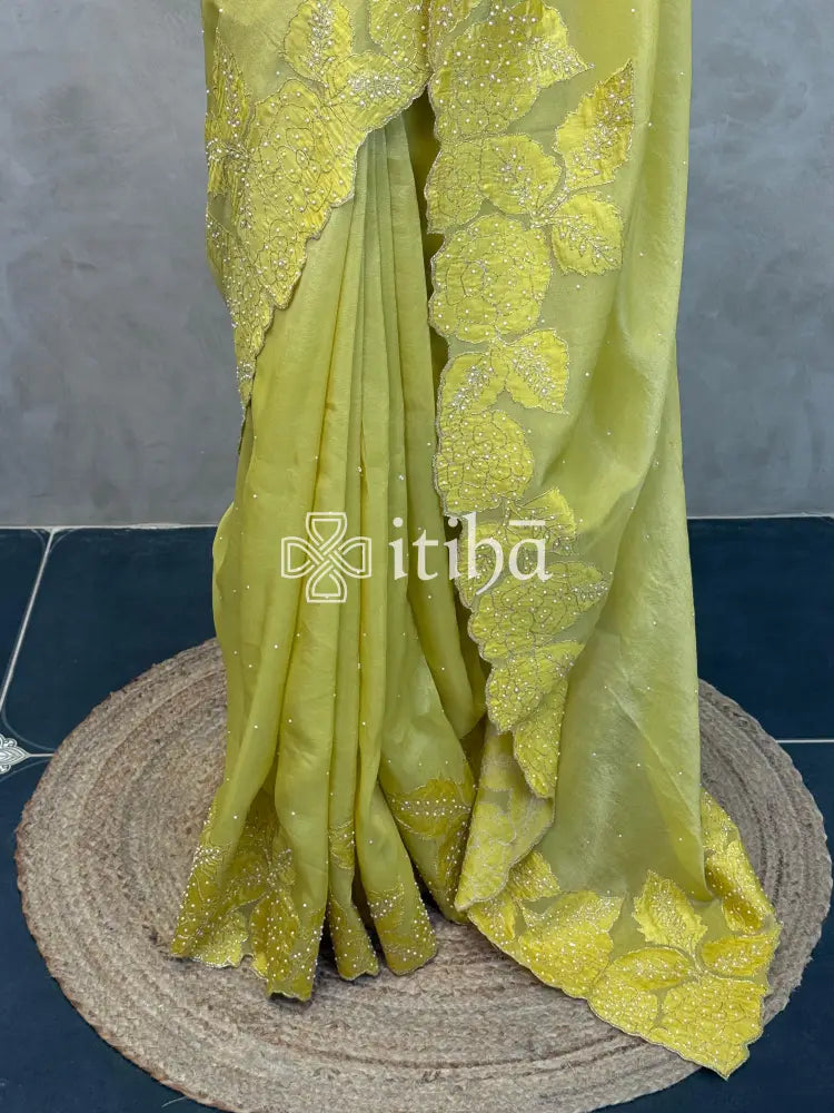 PURE SILK TISSUE ORGANZA HAND EMBROIDERY SAREE