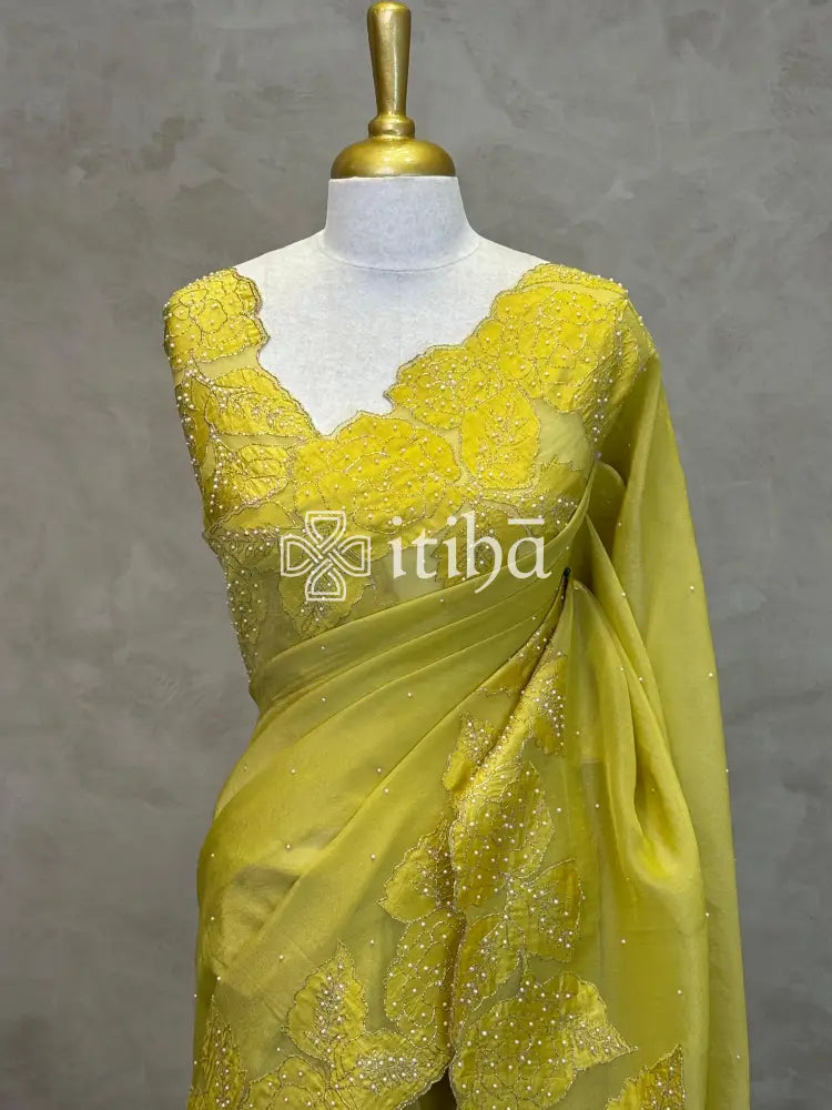 PURE SILK TISSUE ORGANZA HAND EMBROIDERY SAREE