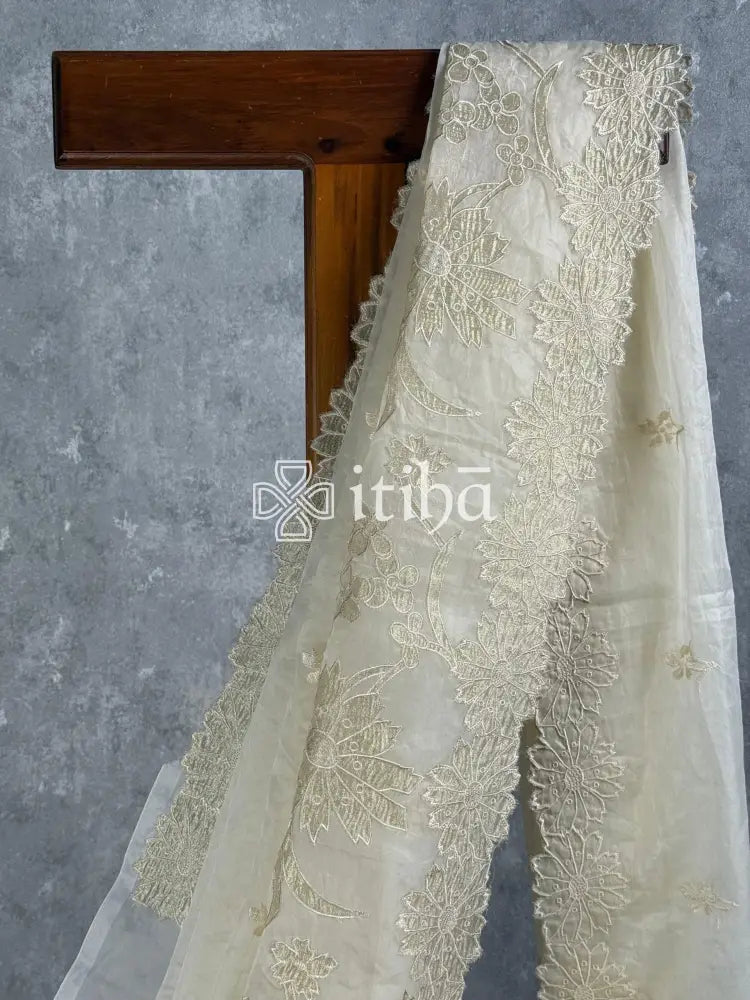 SEMI ORGANZA TISSUE APPLIQUE EMBROIDERY SAREE