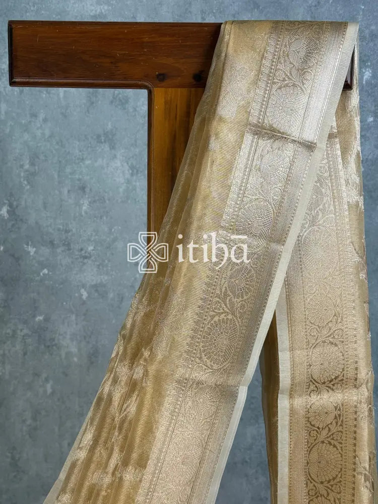 SEMI TISSUE ORGANZA JAAL BANARASI SAREE