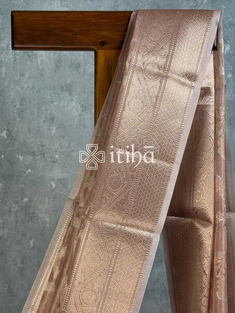 SEMI TISSUE ORGANZA JAAL BANARASI SAREE