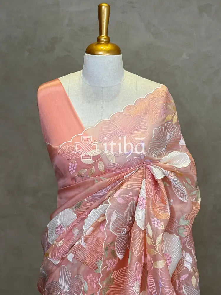 SILK ORGANZA 3D APPLIQUE EMBROIDERY SAREE