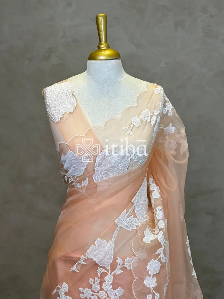 SILK ORGANZA APPLIQUE EMBROIDERY SAREE