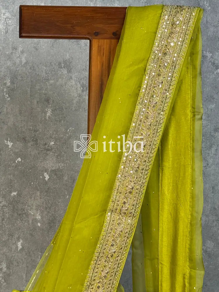 SILK ORGANZA BADLA WORK SAREE - LIME GREEN