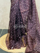 SILK ORGANZA BANDHINI BANARASI SAREE