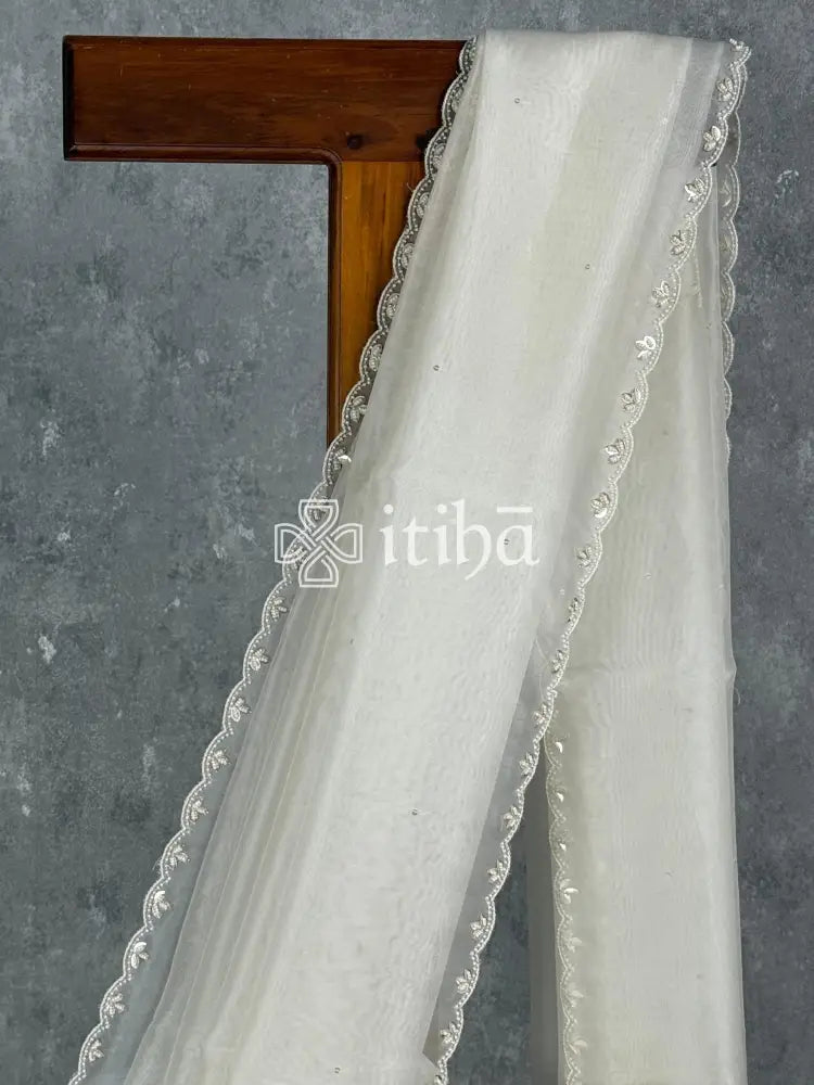 SILK ORGANZA HAND EMBROIDERY SAREE