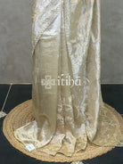 SILK ORGANZA TISSUE APPLIQUE EMBROIDERY SAREE