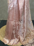 SILK ORGANZA TISSUE APPLIQUE EMBROIDERY SAREE