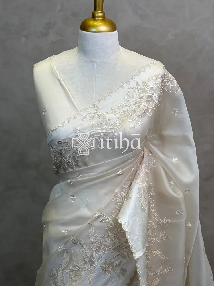 SILK ORGANZA TUSSAR APPLIQUE EMBROIDERY SAREE