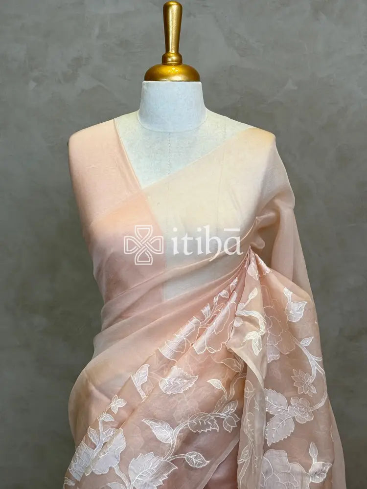 SOFT ORGANZA APPLIQUE EMBROIDERY SAREE