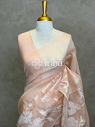 SOFT ORGANZA APPLIQUE EMBROIDERY SAREE