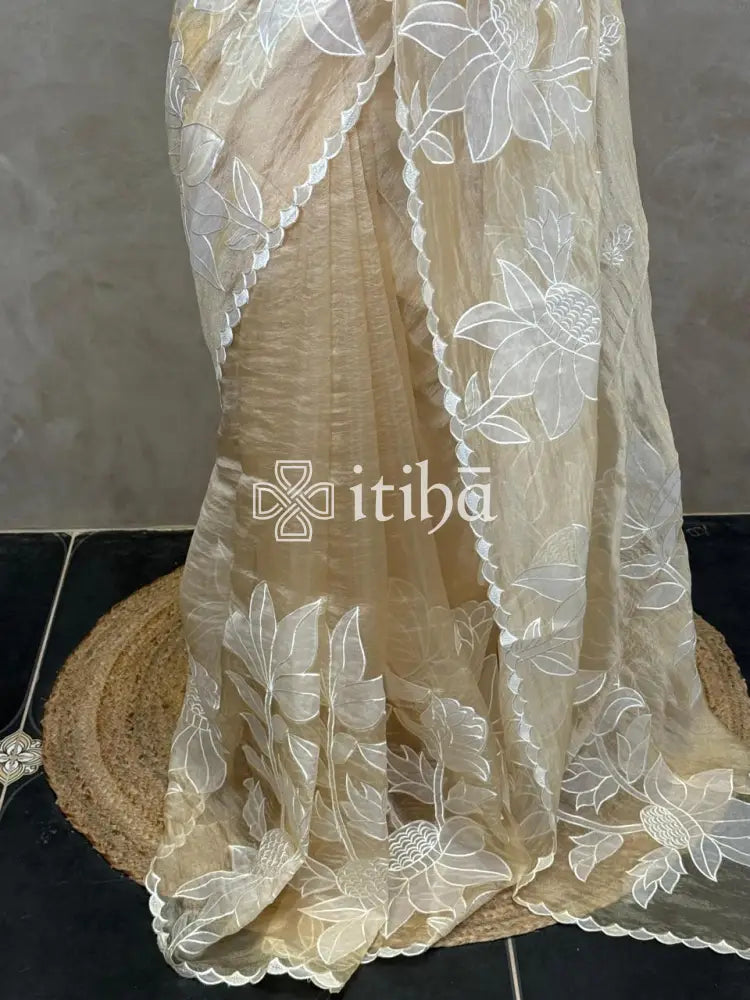 SOFT ORGANZA APPLIQUE EMBROIDERY SAREE