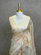 SOFT ORGANZA APPLIQUE EMBROIDERY SAREE
