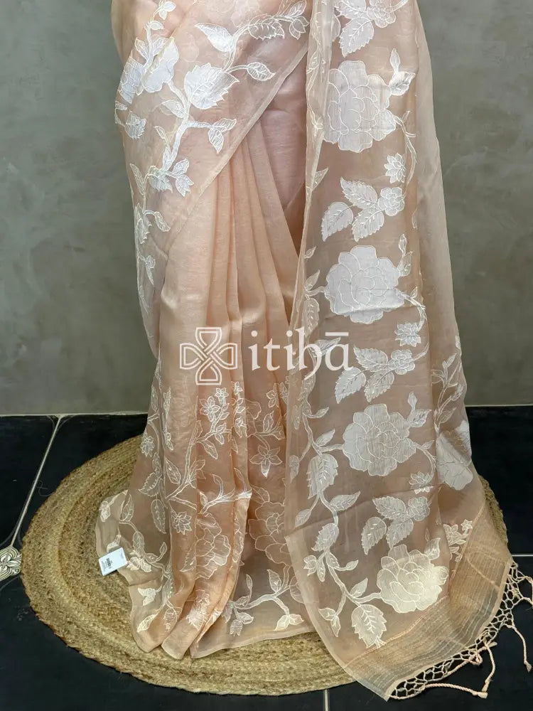 SOFT ORGANZA APPLIQUE EMBROIDERY SAREE