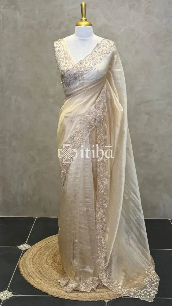 TISSUE ORGANZA HANDWORK SAREE - Beige