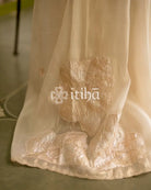 TURKISH APPLIQUE EMBROIDERY SAREE