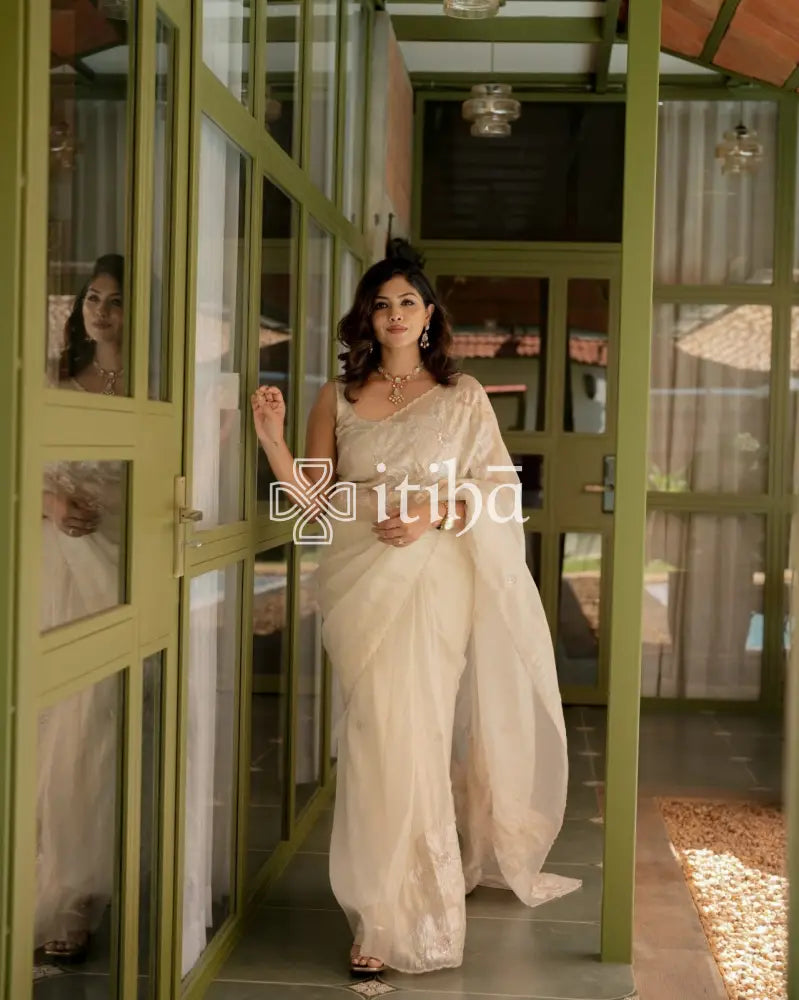 TURKISH APPLIQUE EMBROIDERY SAREE - LIGHT BEIGE