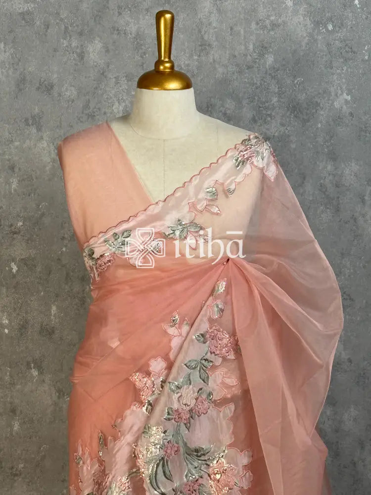 TURKISH ORGANZA APPLIQUE EMBROIDERY SAREE