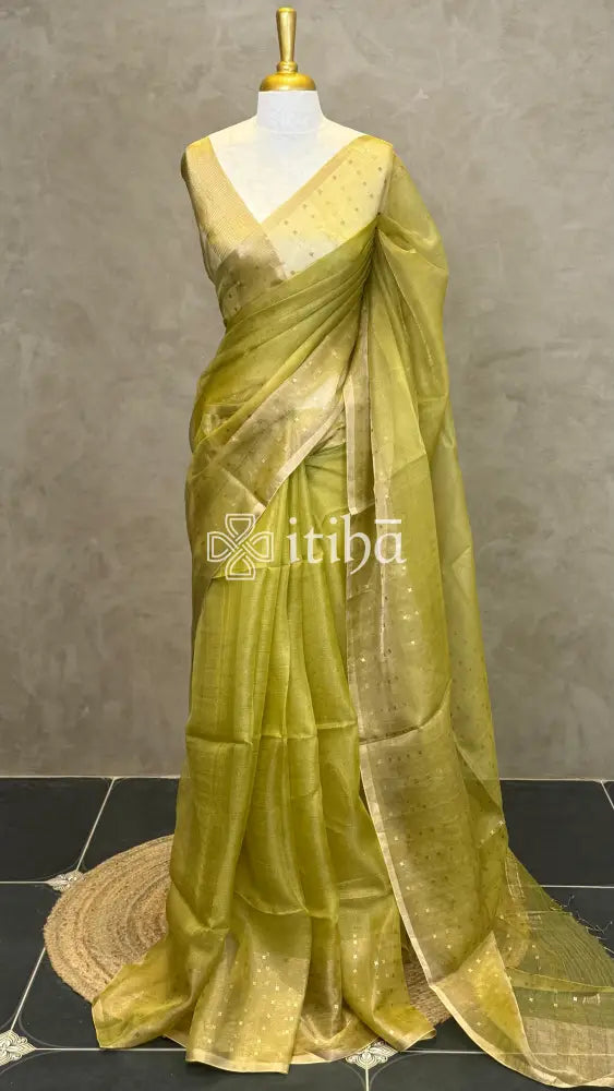TUSSAR ORGANZA SAREE - LIGHT GREEN