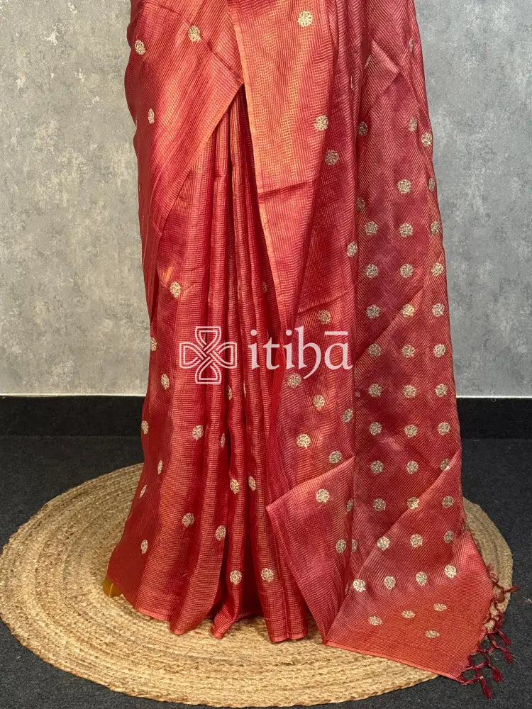 TUSSAR SILK ZARI CHECK EMBROIDERY SAREE