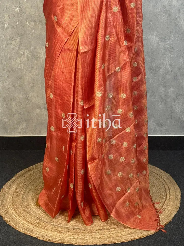 TUSSAR SILK ZARI CHECK EMBROIDERY SAREE