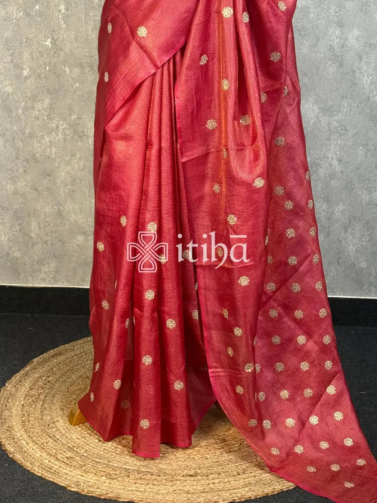 TUSSAR SILK ZARI CHECK EMBROIDERY SAREE
