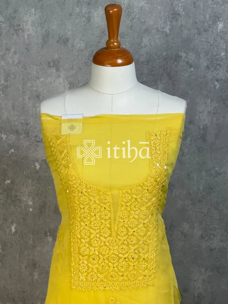 VISCOSE ORGANZA CHIKANKARI SALWAR SUIT
