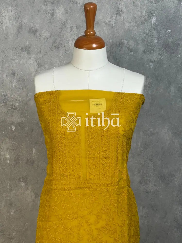 VISCOSE ORGANZA CHIKANKARI SALWAR SUIT