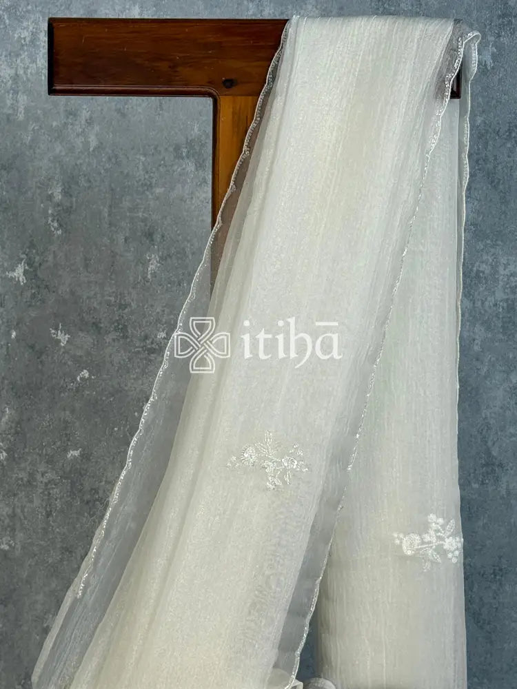 VISCOSE ORGANZA HAND EMBROIDERY SAREE - OFF WHITE