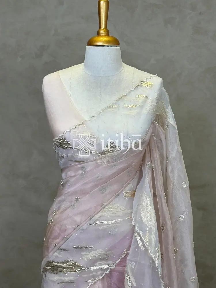 VISCOSE ORGANZA TURKISH APPLIQUE DESIGNER SAREE