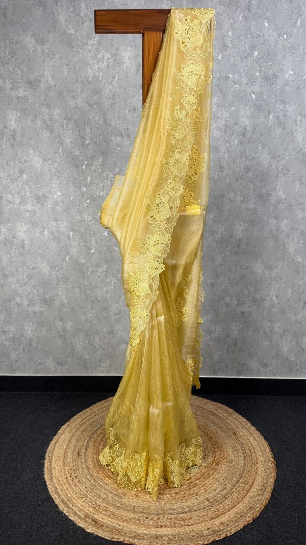 GLASS TISSUE ORGANZA CUTWORK EMBROIDERY SAREE