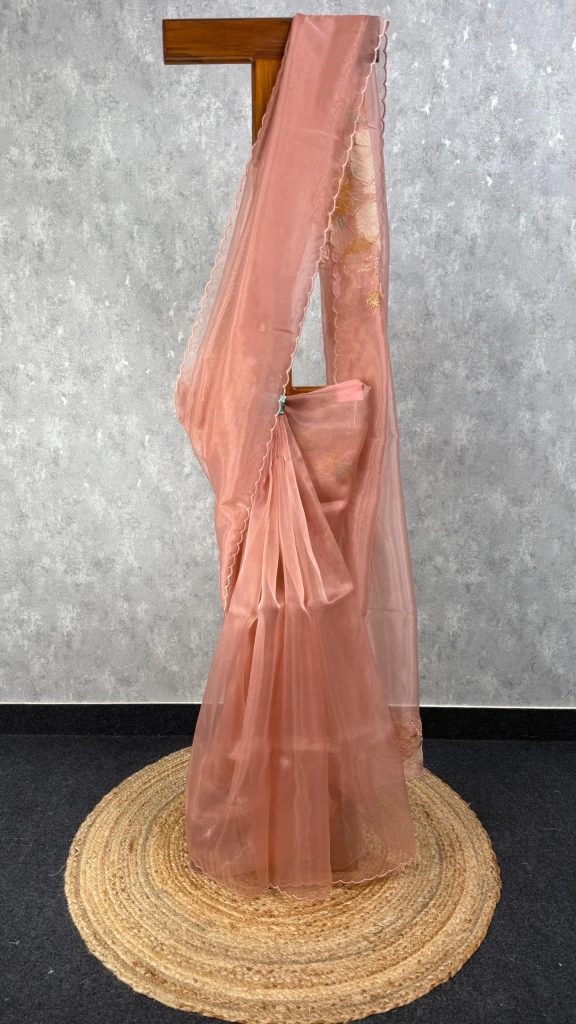 ORGANZA APPLIQUE EMBROIDERY SAREE