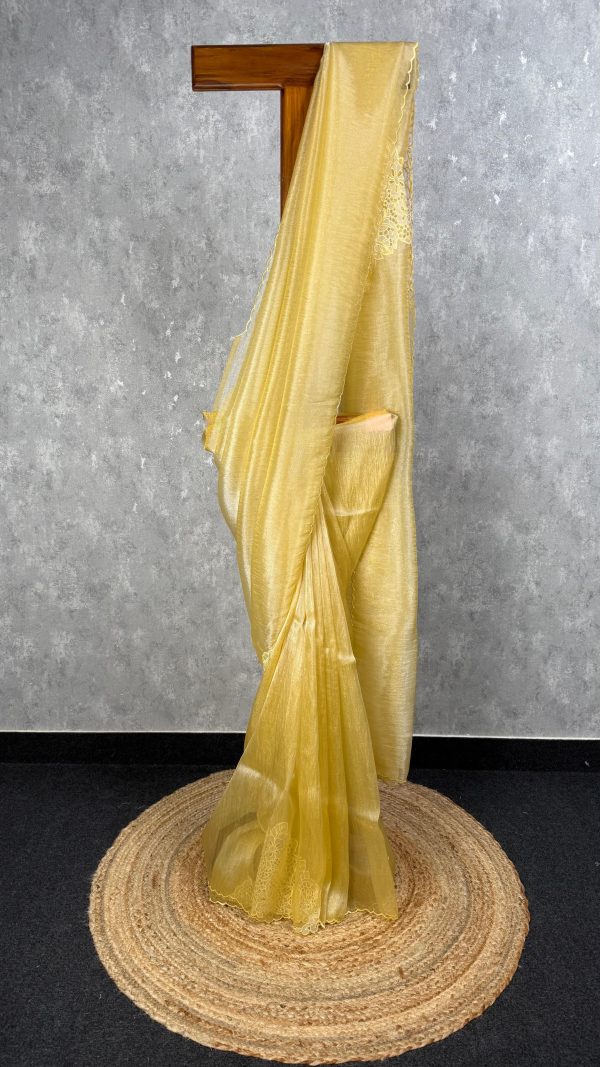 GLASS ORGANZA CUTWORK EMBROIDERY SAREE