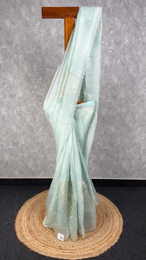 SILK ORGANZA TISSUE APPLIQUE EMBROIDERY SAREE